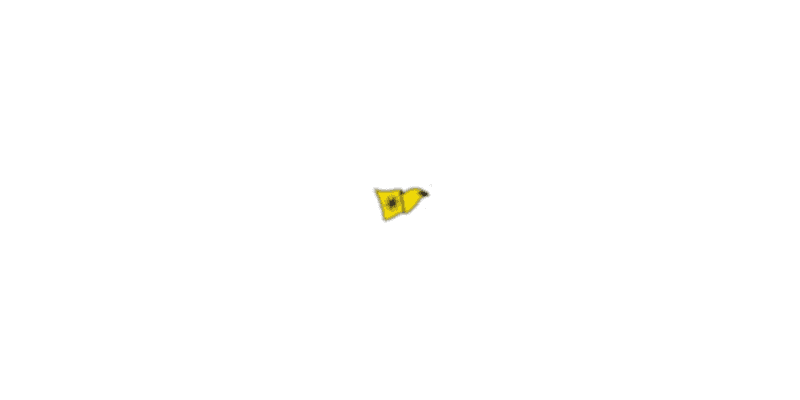 Black Rock Sailing School logo