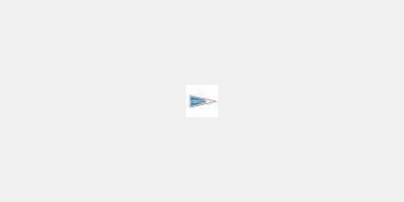 Sail Solomons logo