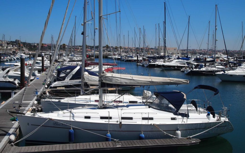 Seawings - Image 1
